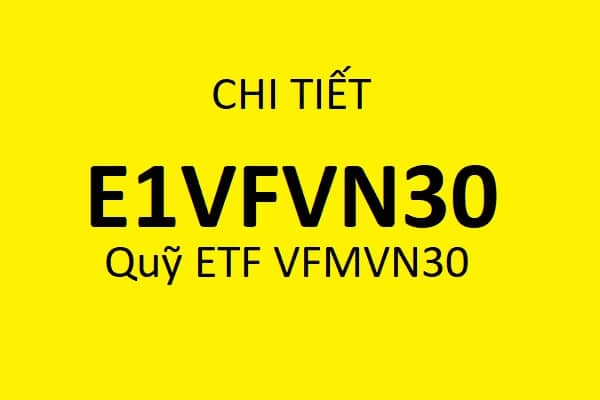E1VFVN30 - Quỹ ETF VFMVN30